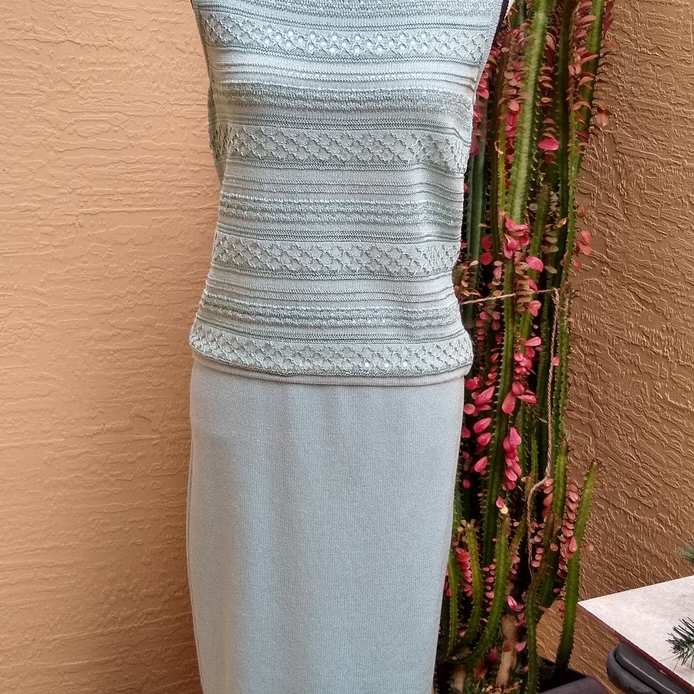 Final! St. John Matching Skirt and Top